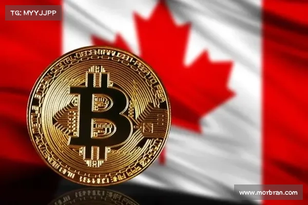 德国为什么被列为对加密货币最友好的国家? 德国为什么被列为对加密货币最友好的国家?