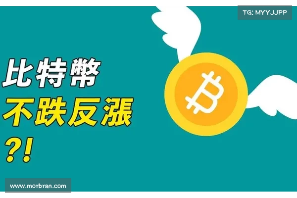 与美股的联动还在发挥作用,比特币自上周以来上涨了8 与美股的联动还在发挥作用,比特币自上周以来上涨了8